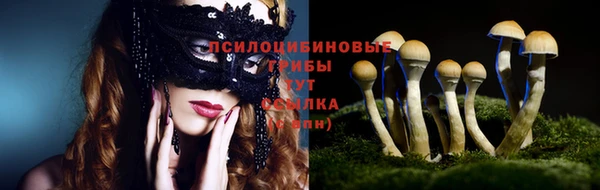 скорость Корсаков