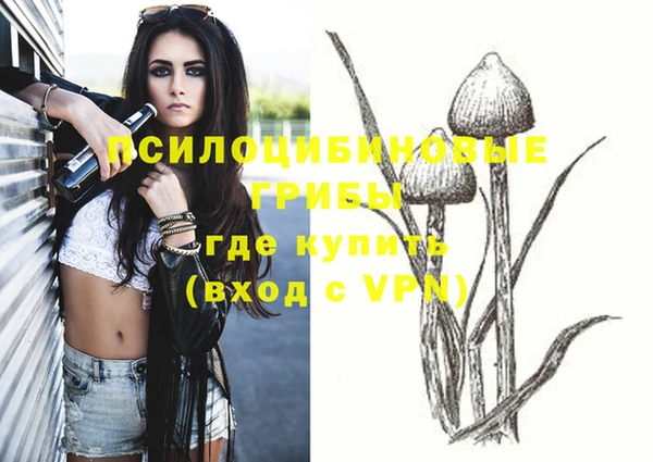 дмт Коряжма