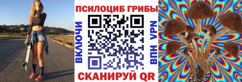Галлюциногенные грибы Magic Shrooms  Купить  Кировск 